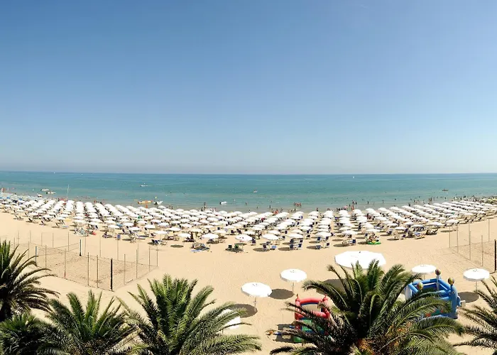 President Silvi Marina